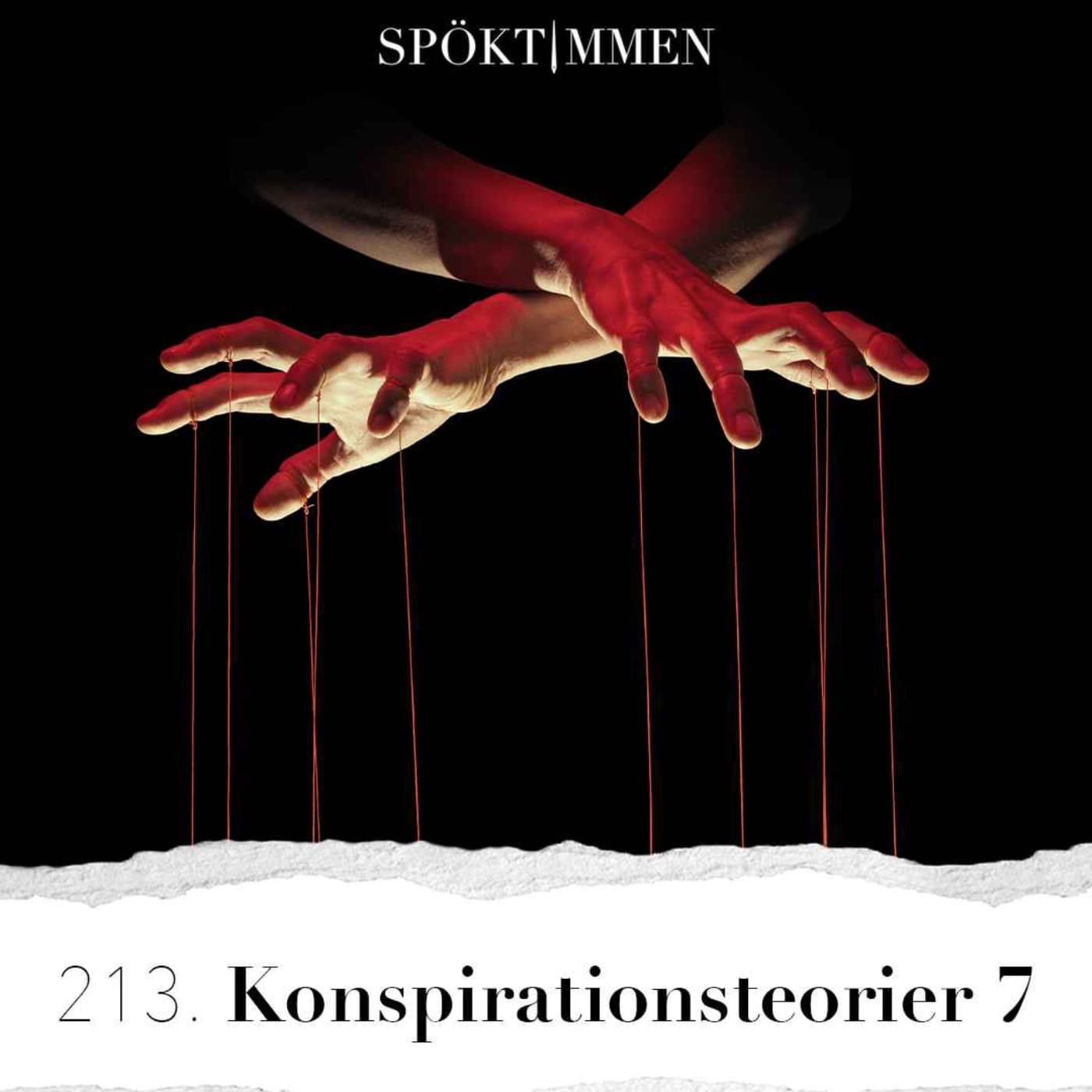 213. Konspirationsteorier 7 artwork