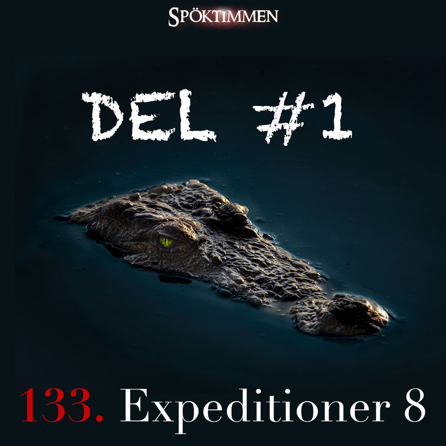 133. Expeditioner 8 – Del 1 artwork