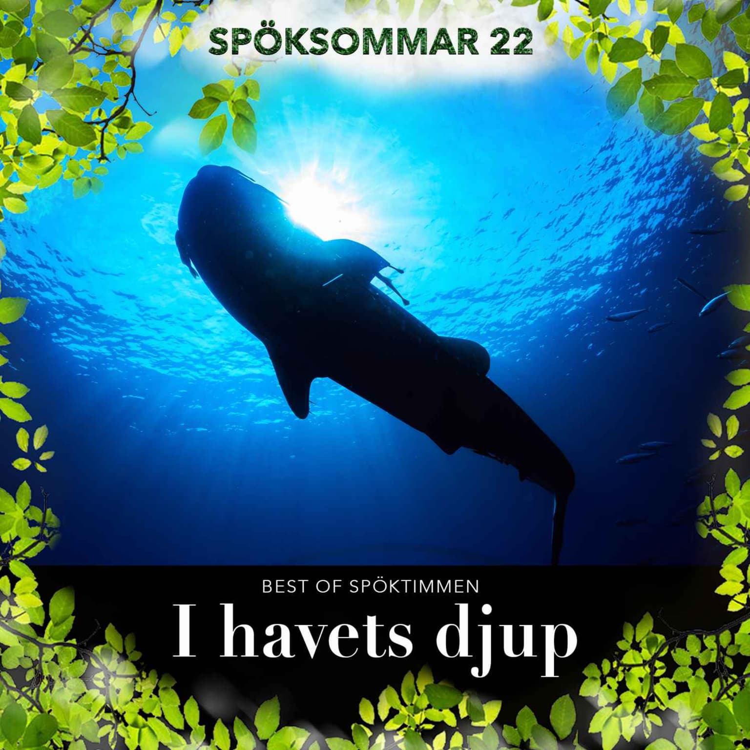 EXTRA: I havets djup artwork