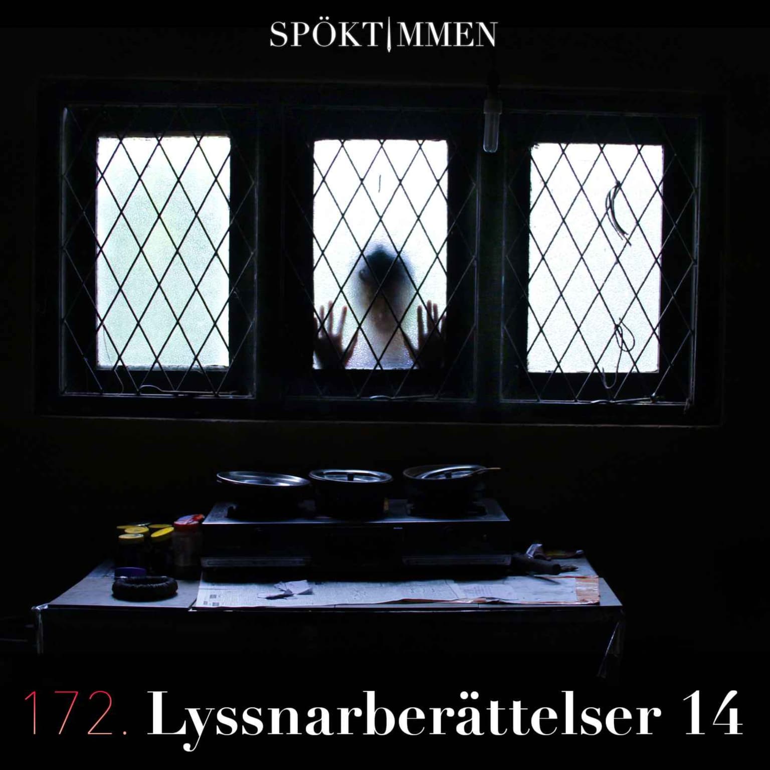 172. Lyssnarberättelser 14 artwork
