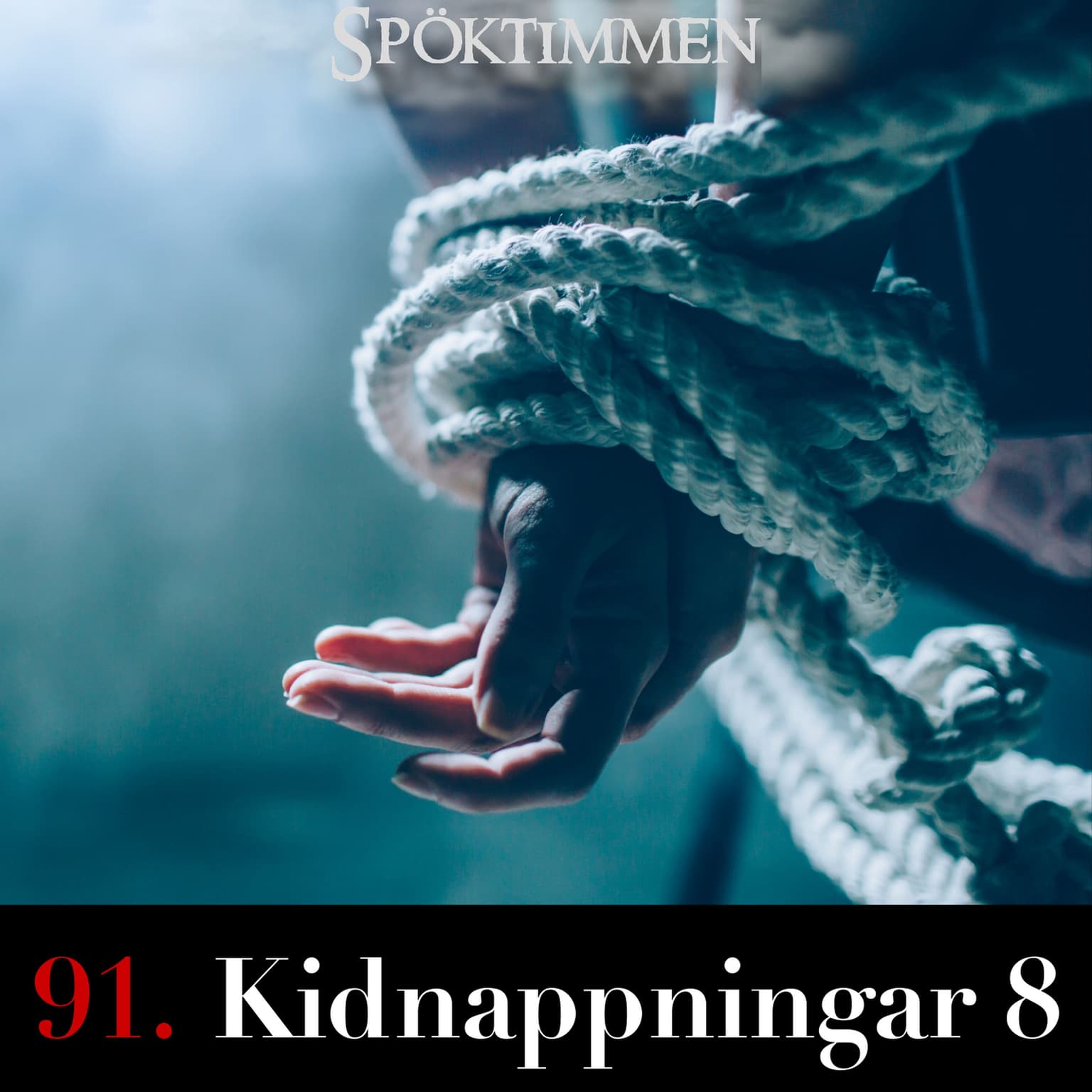 91. Kidnappningar 8 artwork