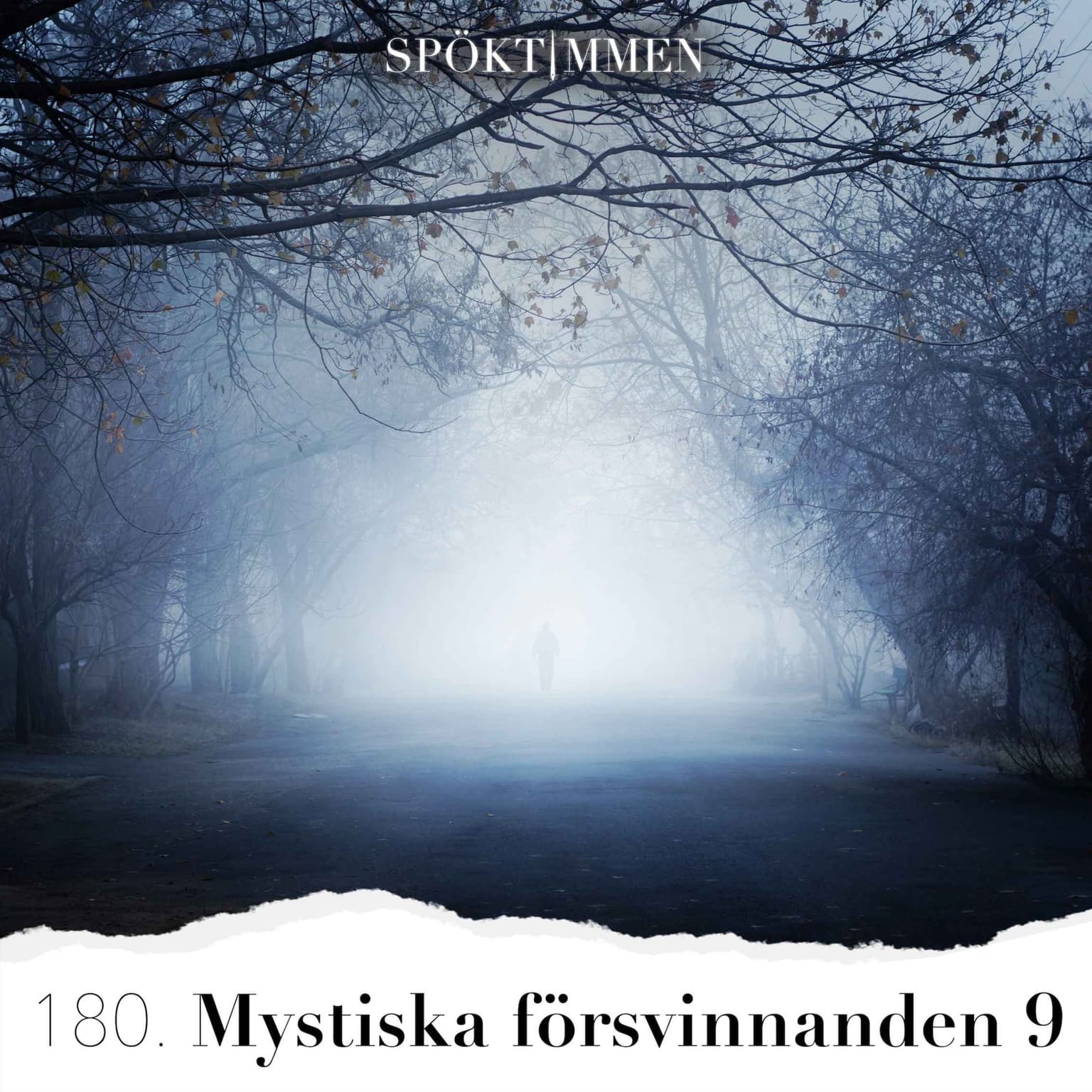 180. Mystiska försvinnanden 9 artwork
