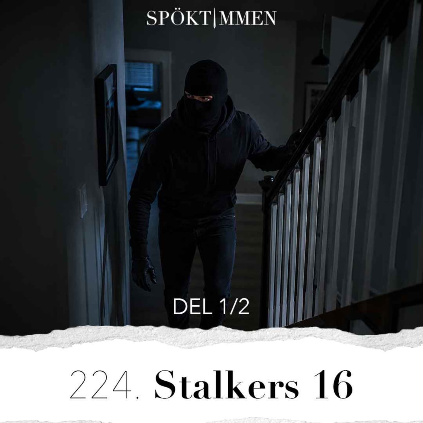 224. Stalkers 16 – Del 1 artwork