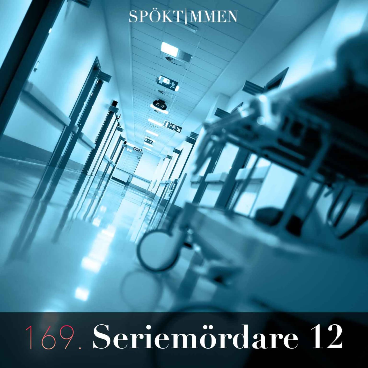 169. Seriemördare 12 artwork