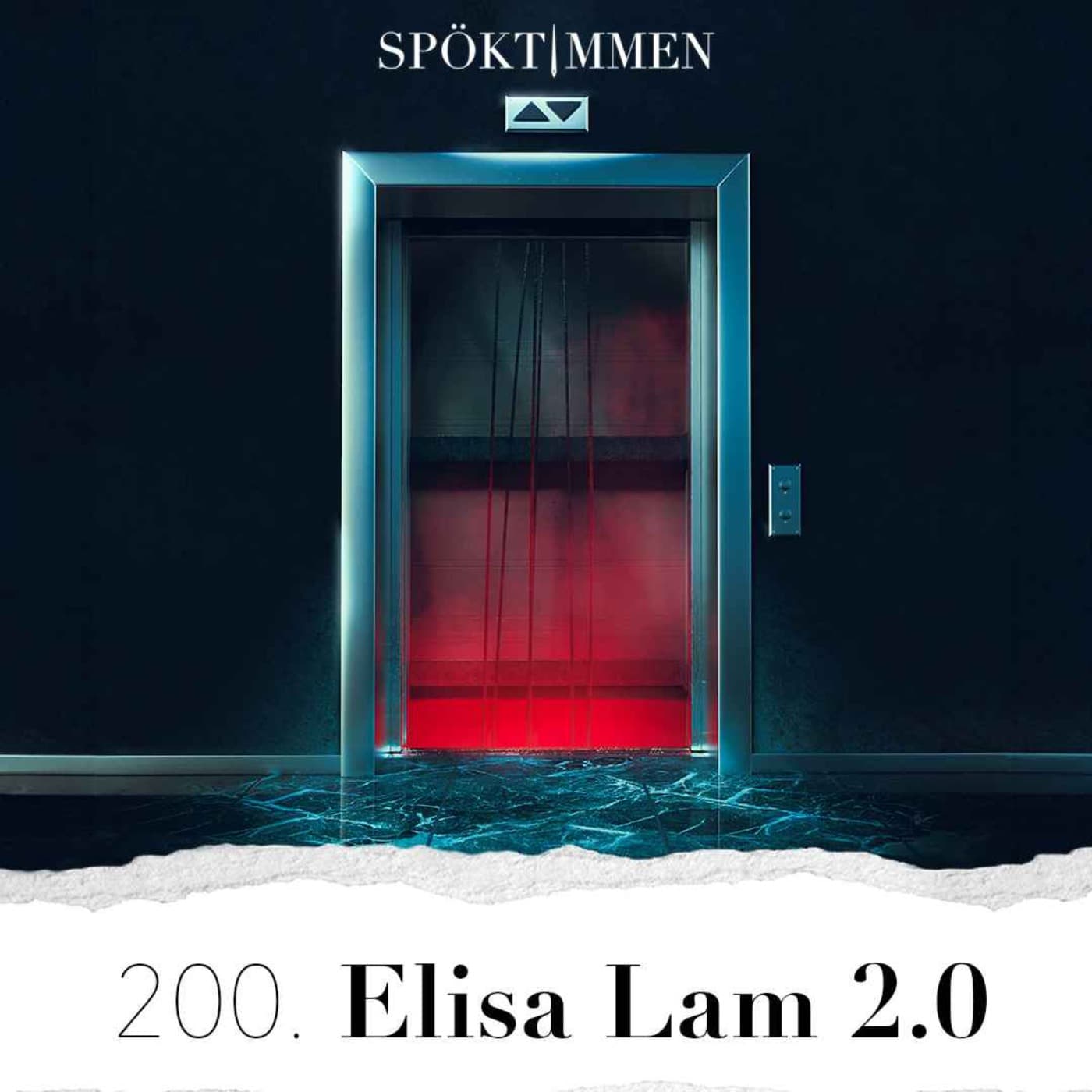 200. Elisa Lam 2.0 artwork