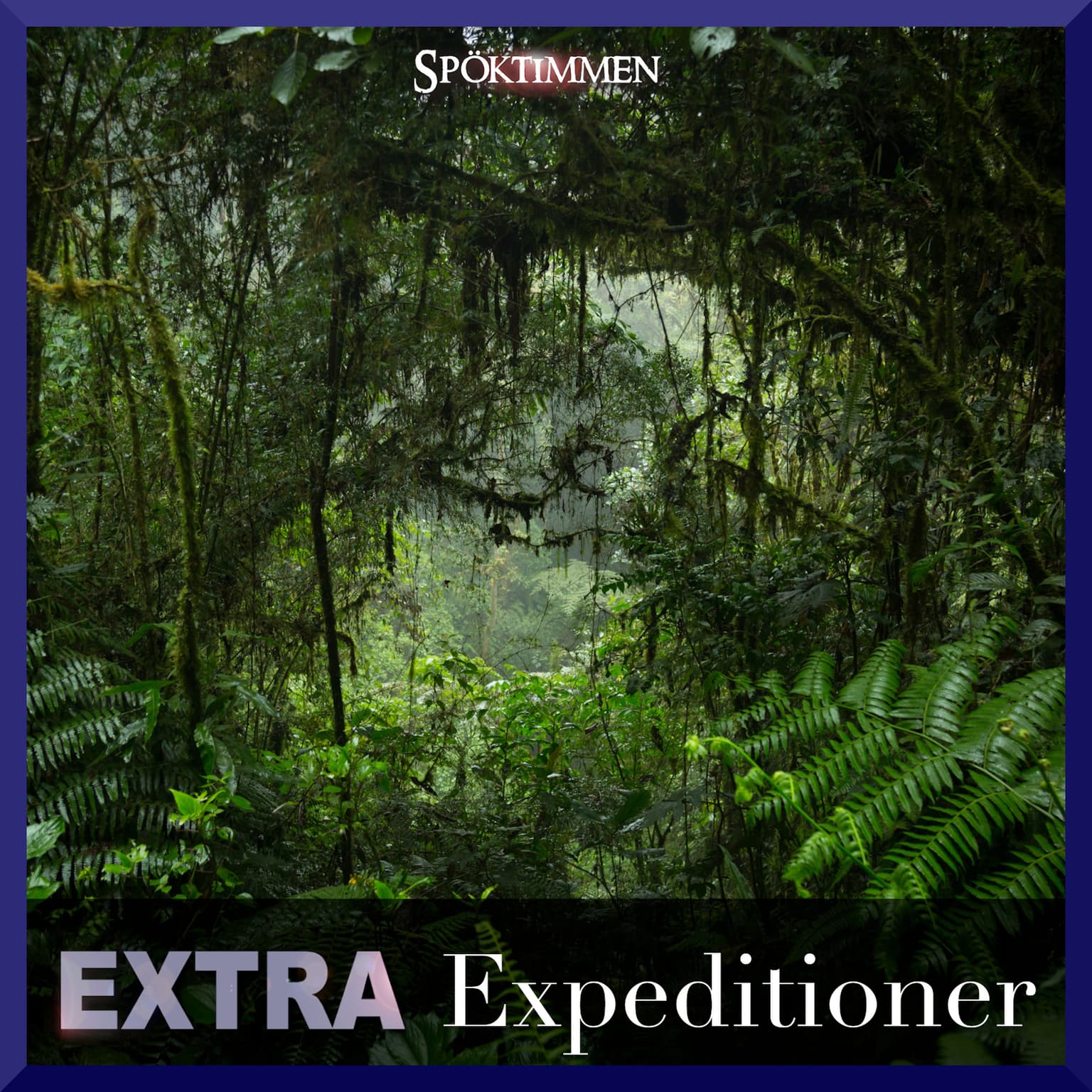 EXTRA: Expeditioner artwork