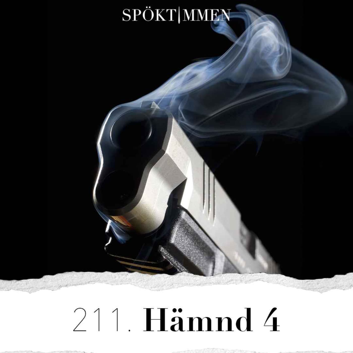 211. Hämnd 4 artwork