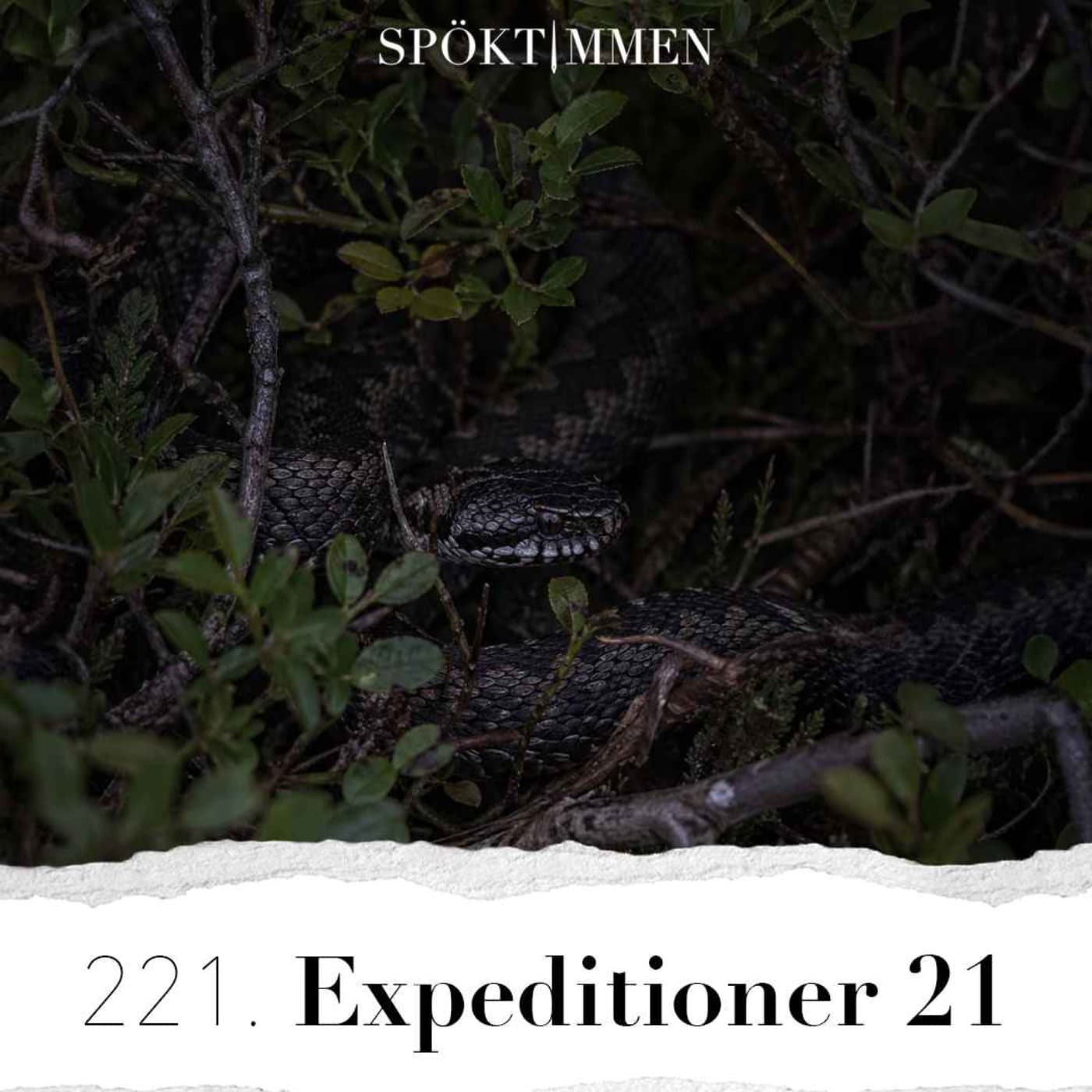 221. Expeditioner 21 artwork