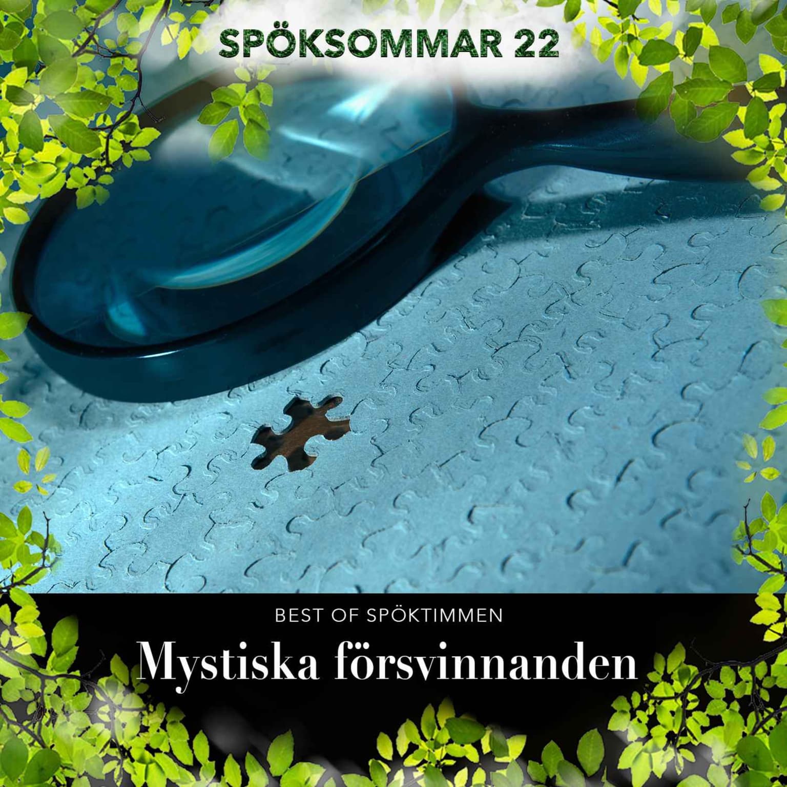 EXTRA: Mystiska försvinnanden artwork