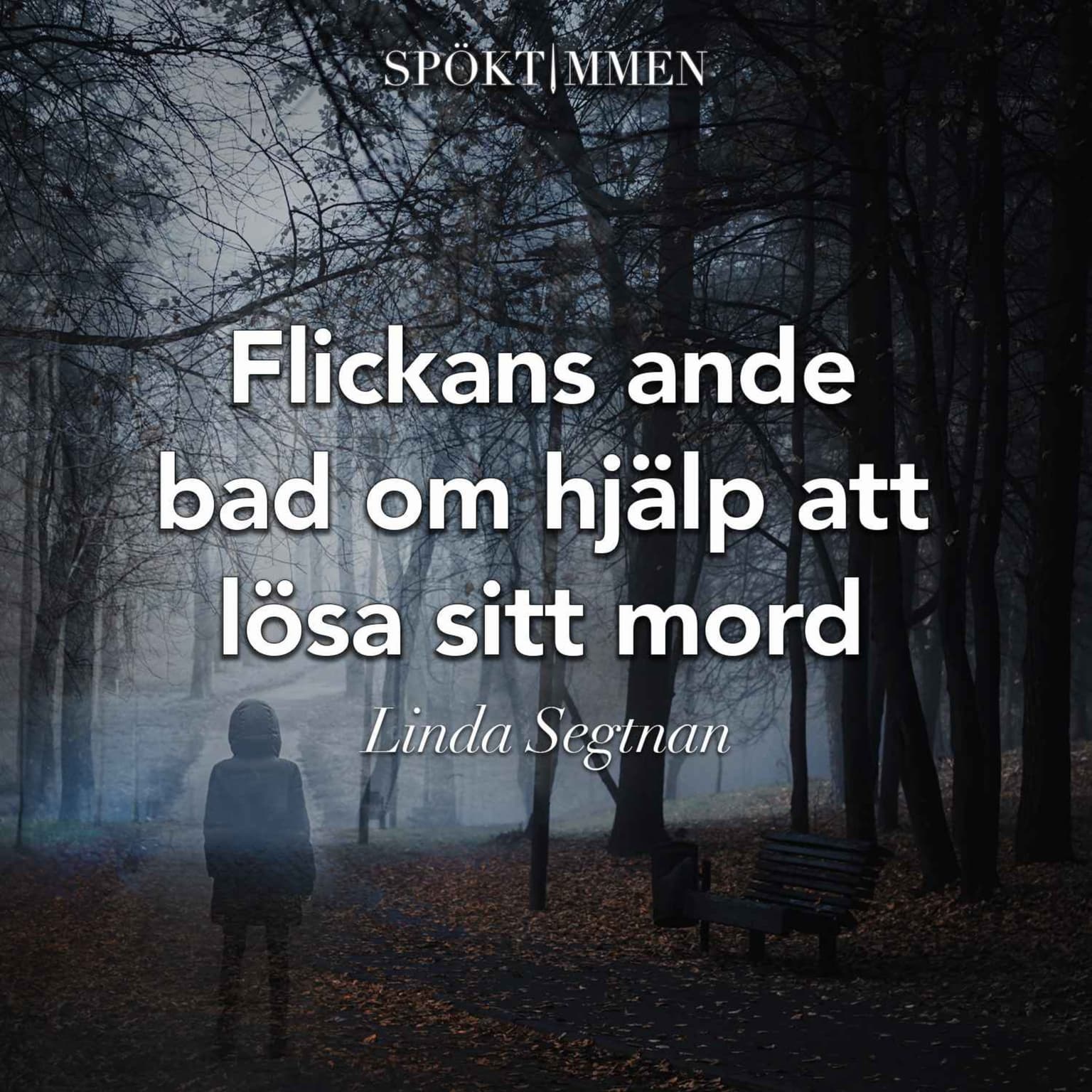 Flickans ande bad om hjälp att lösa sitt mord – med Linda Segtnan artwork