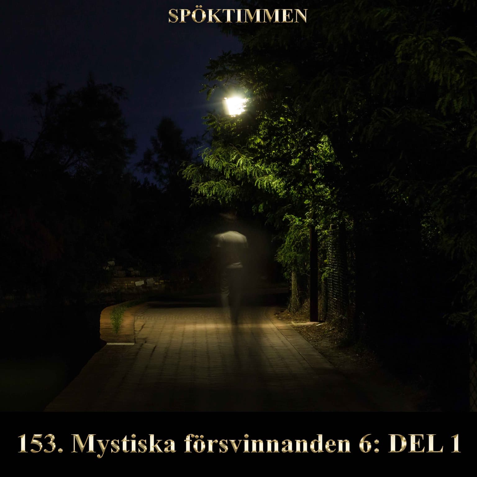 153. Mystiska försvinnanden 6 – Del 1 artwork
