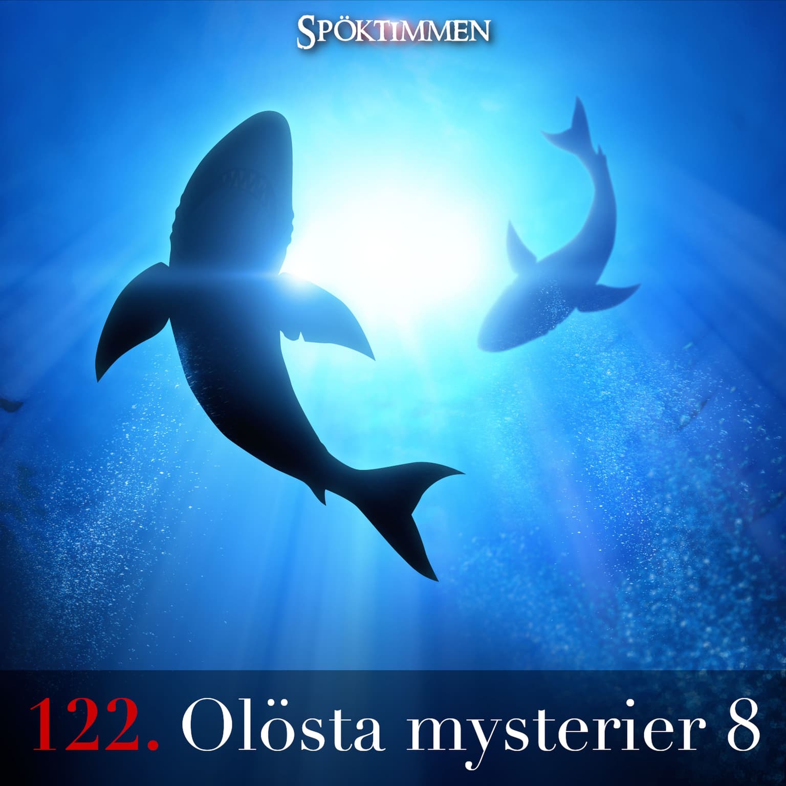 122. Olösta mysterier 8 artwork