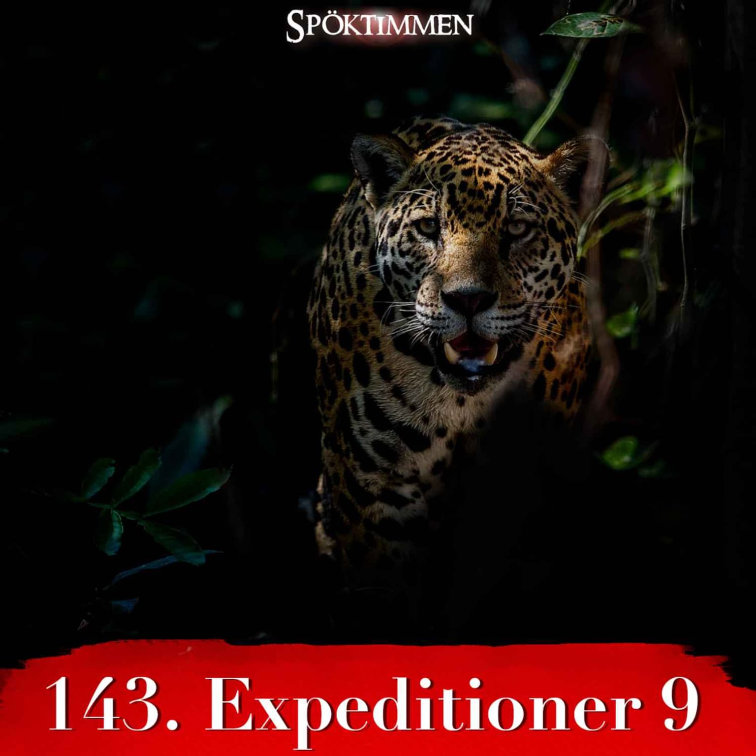 143. Expeditioner 9 artwork