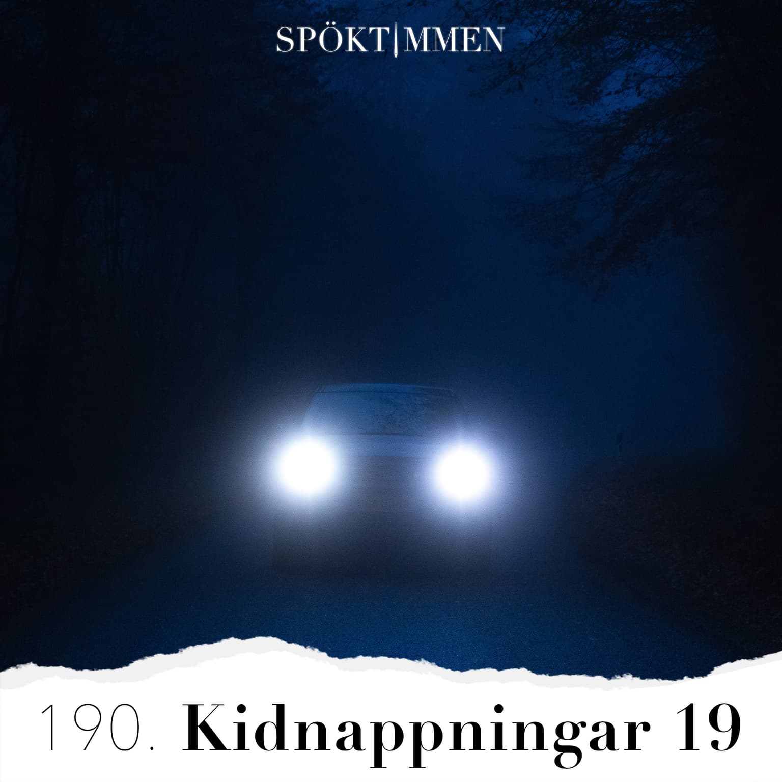 190. Kidnappningar 19 artwork