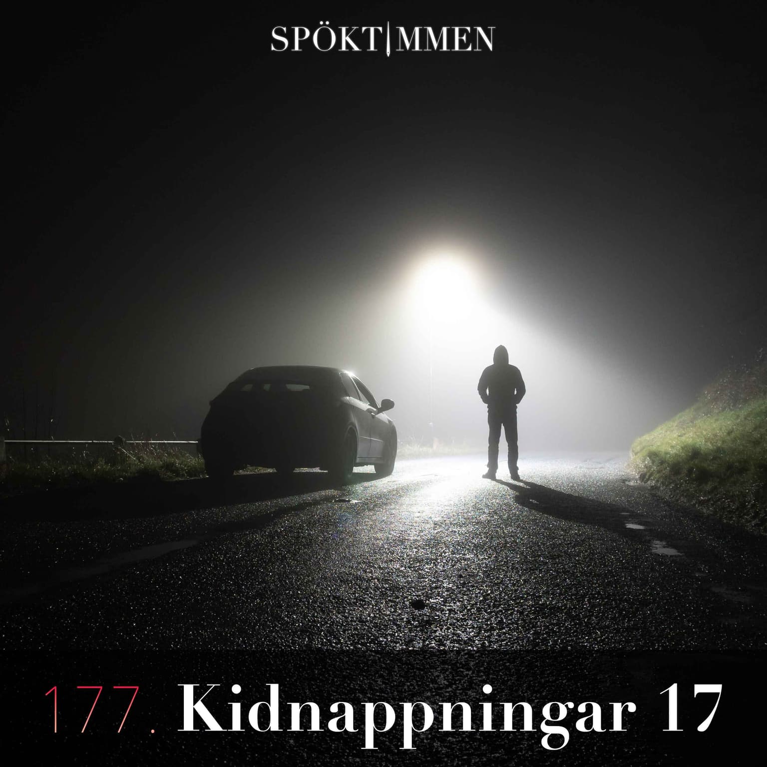 177. Kidnappningar 17 artwork
