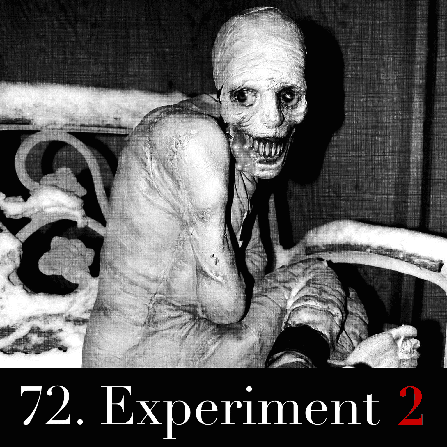 72. Experiment 2 artwork