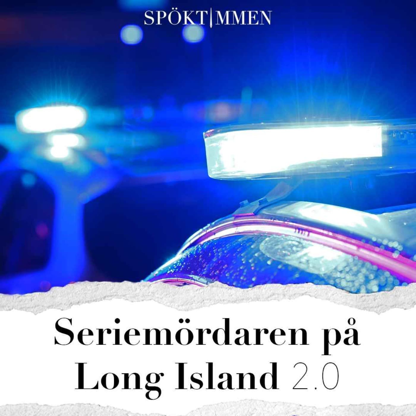 Seriemördaren på Long Island 2.0 – Del 2 artwork