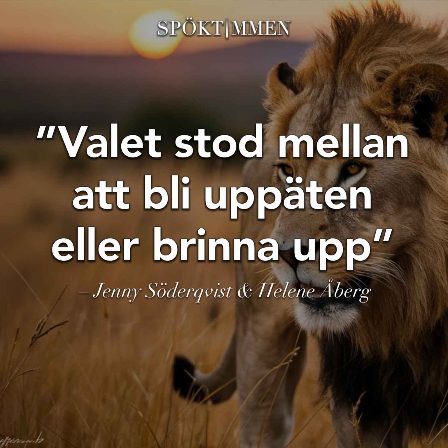 "Valet stod mellan att bli uppäten eller brinna upp" – Jenny Söderqvist & Helene Åberg artwork