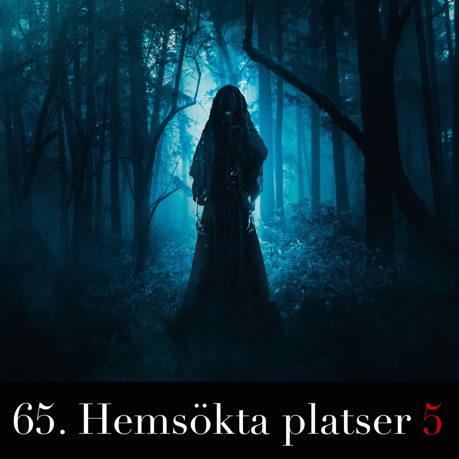 65. Hemsökta platser 5 artwork