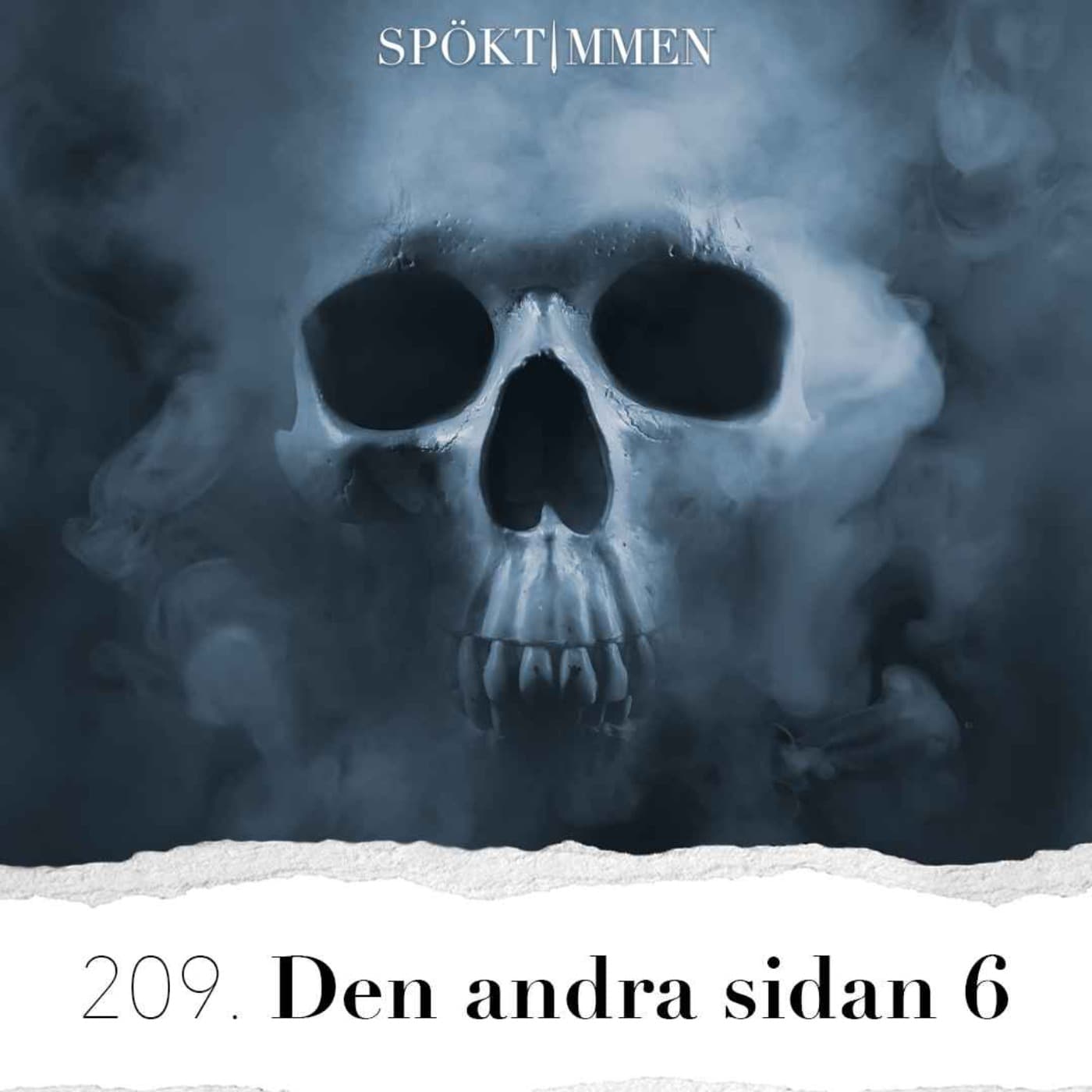 209. Den andra sidan 6 artwork