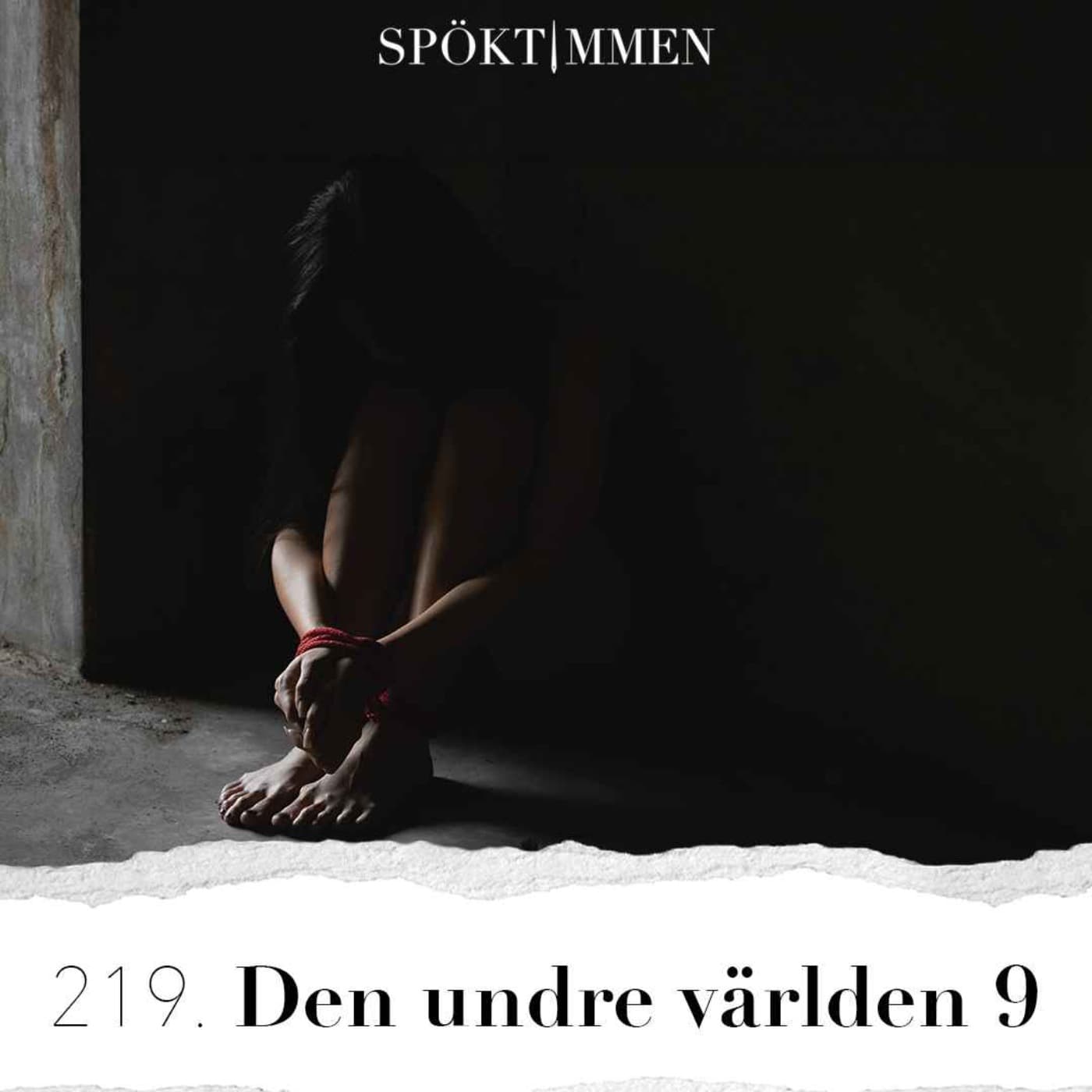 219. Den undre världen 9 artwork