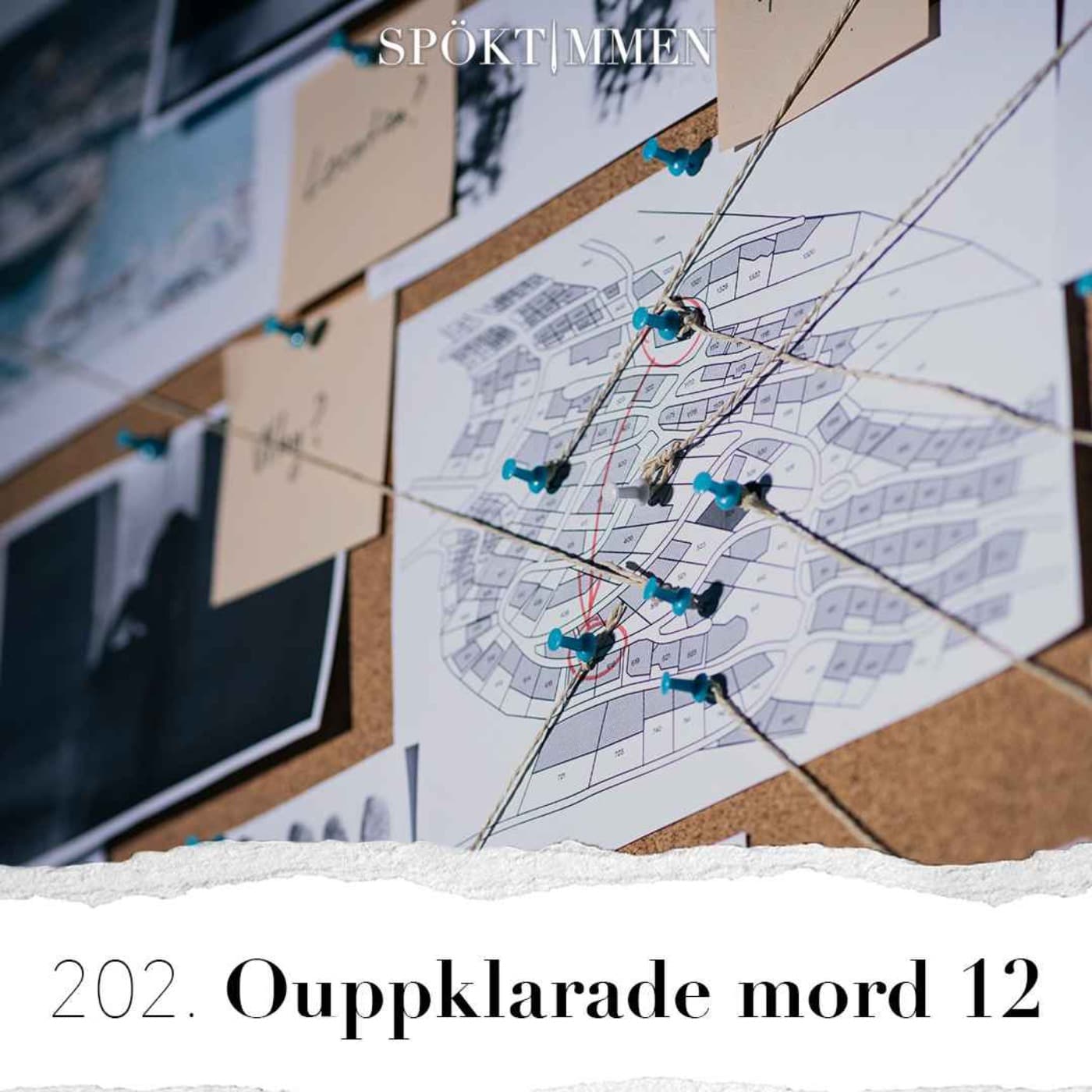 202. Ouppklarade mord 12 artwork