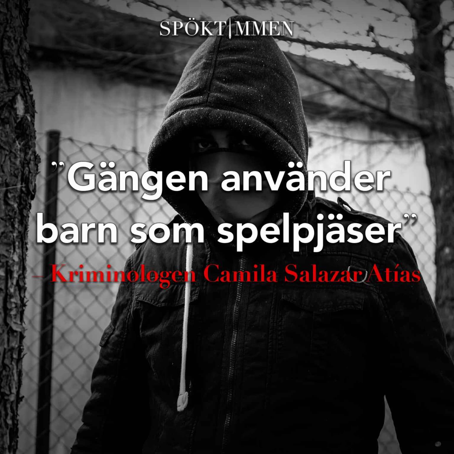 "Gängen använder barn som spelpjäser" – Kriminologen Camila Salazar Atías artwork