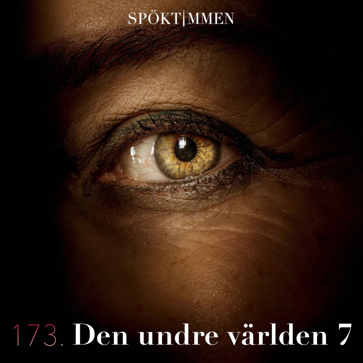 173. Den undre världen 7 artwork