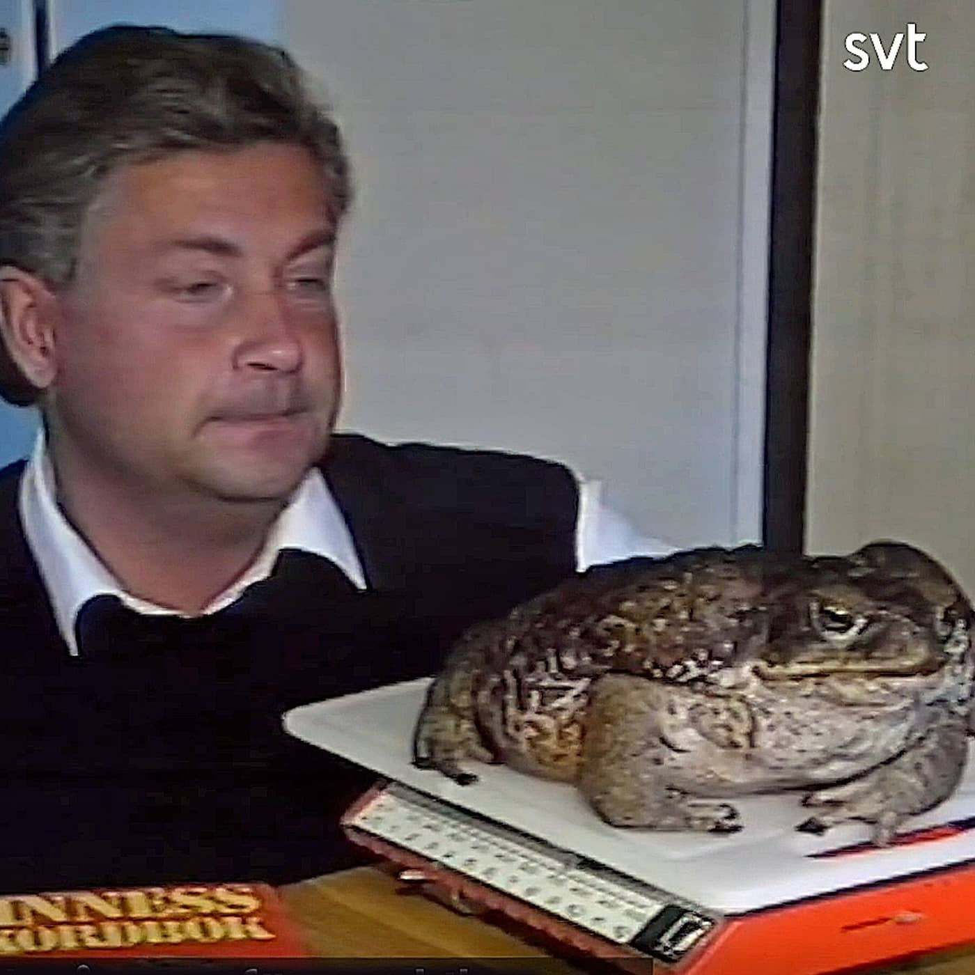 Prinsen - världens största padda artwork