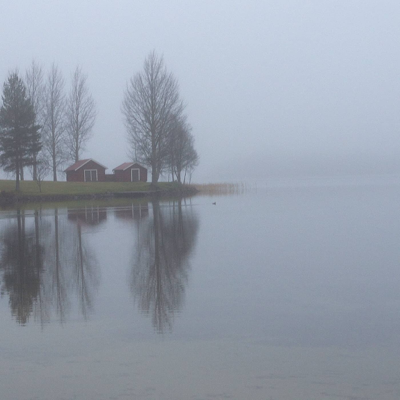 Tavelsjöodjuret artwork