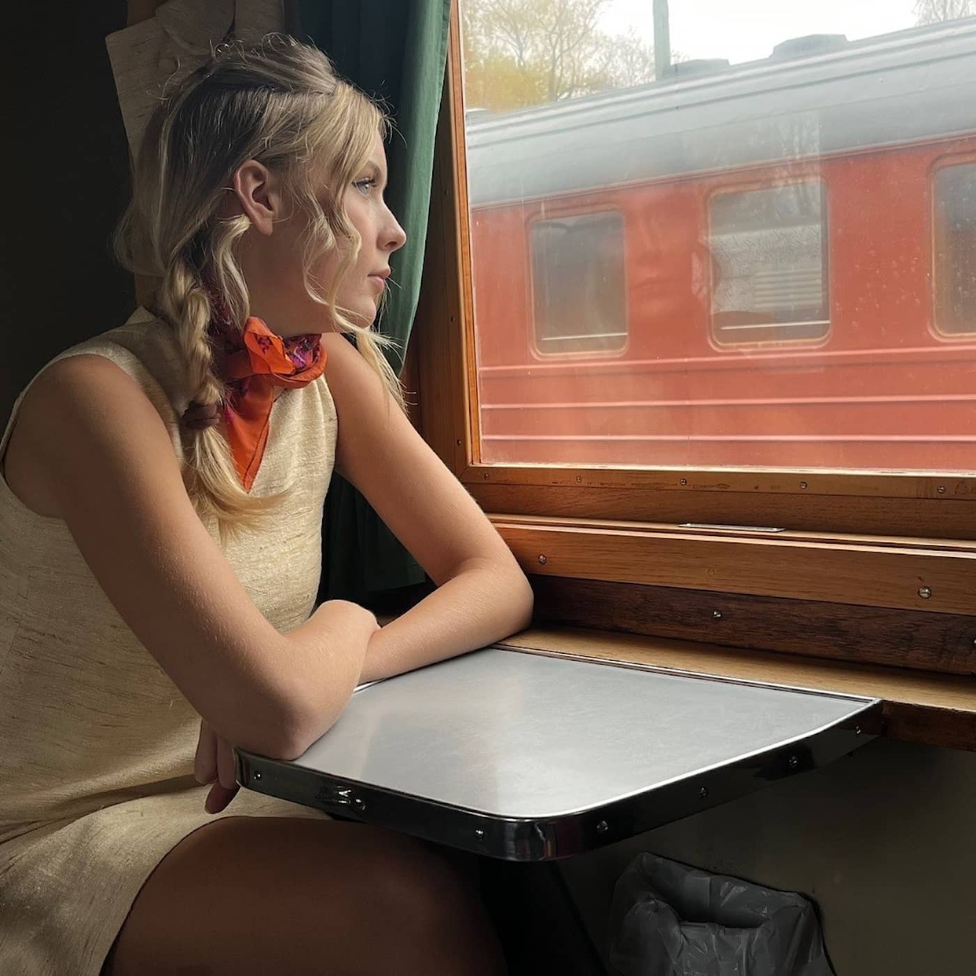 ”Carins” hemliga abortresa till Polen artwork