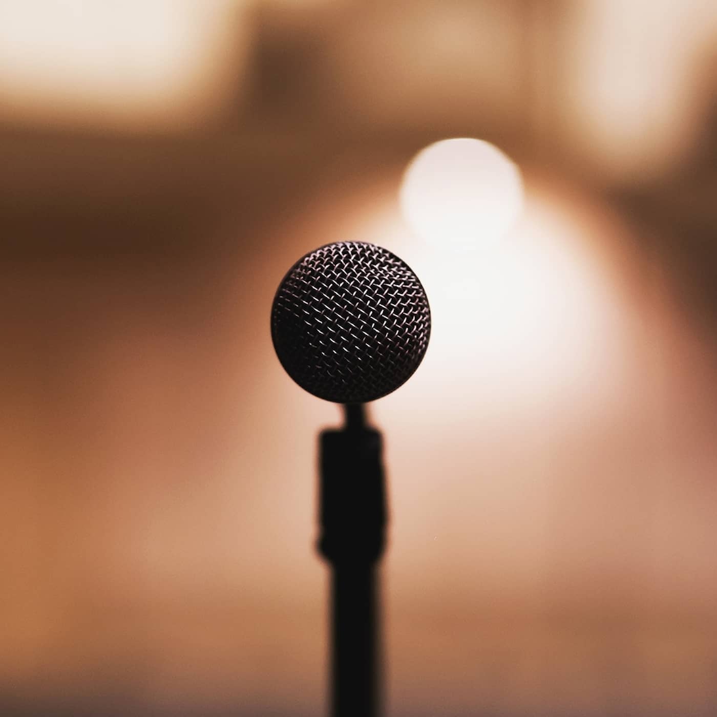 P4 Dokumentär special: 30 år med svensk stand up artwork