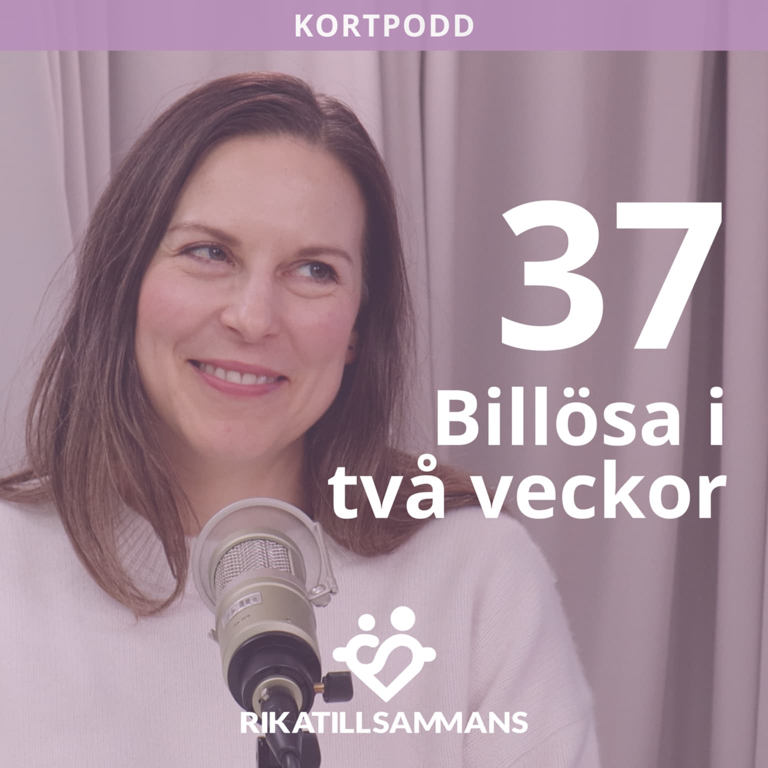 K37. Utan barnen hade vi klarat oss utan bil… artwork