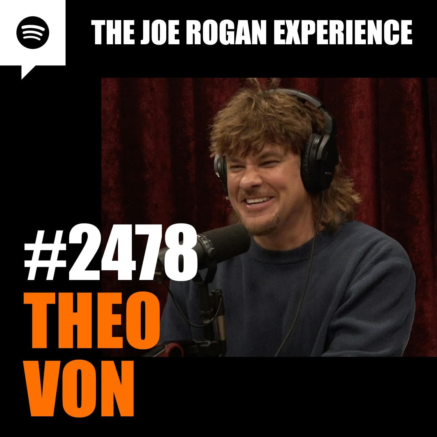 #2478 - Theo Von artwork
