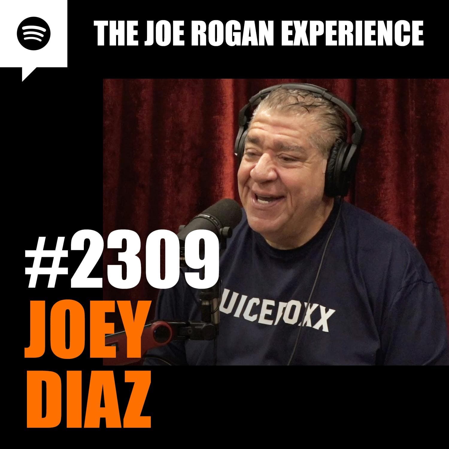 #2309 - Joey Diaz artwork
