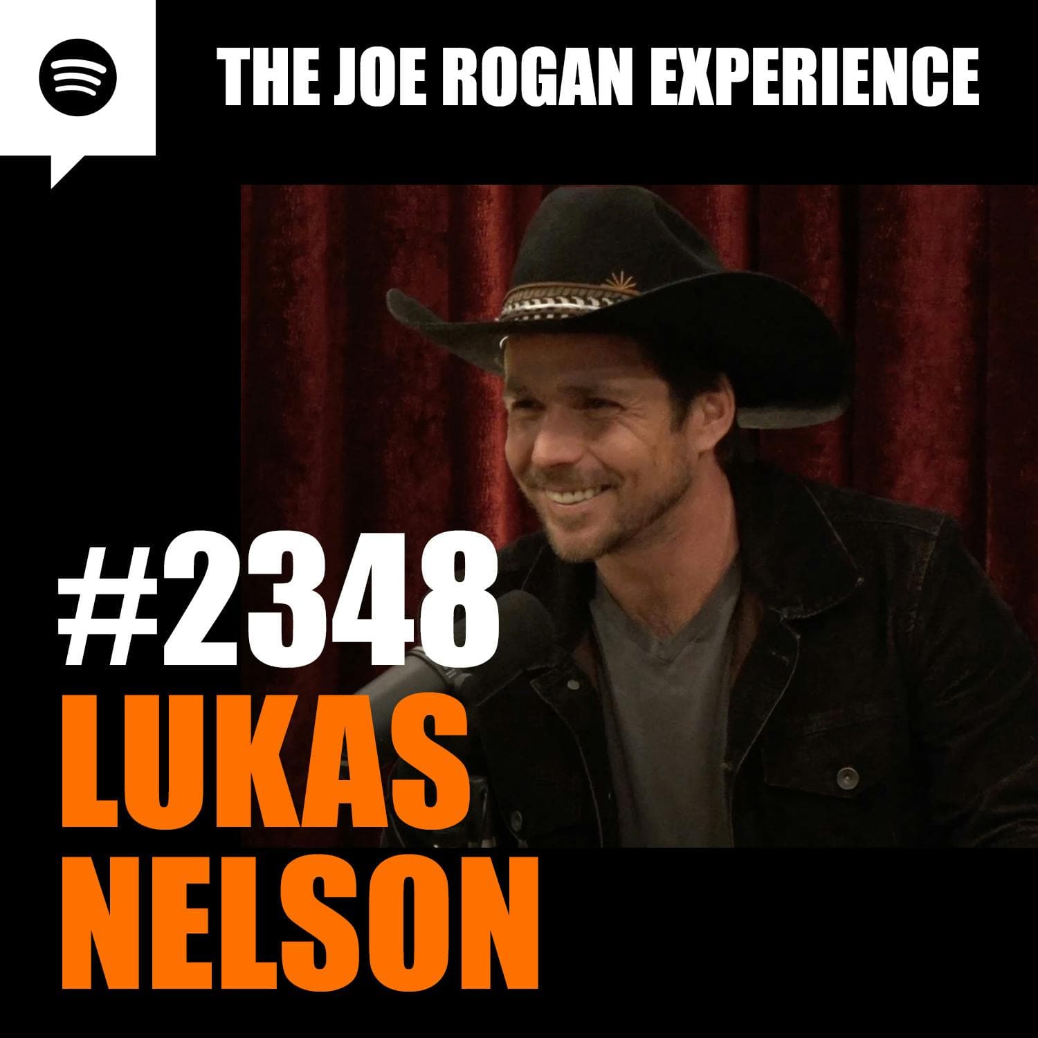 #2348 - Lukas Nelson artwork