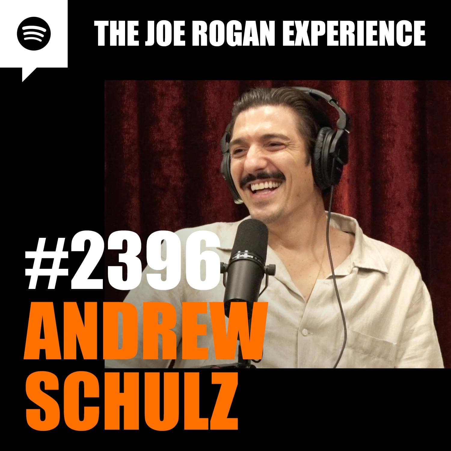 #2396 - Andrew Schulz artwork