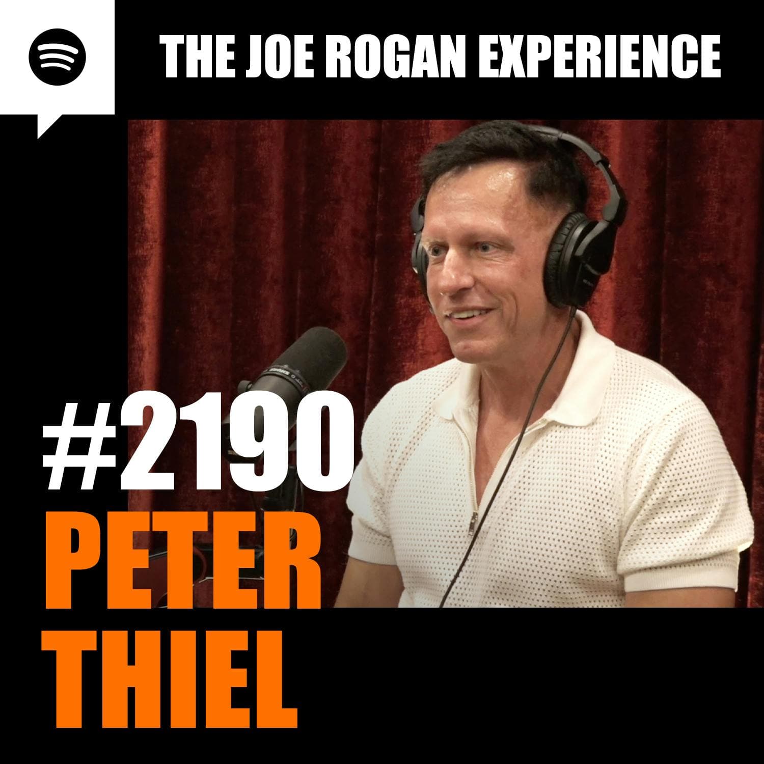 #2190 - Peter Thiel artwork