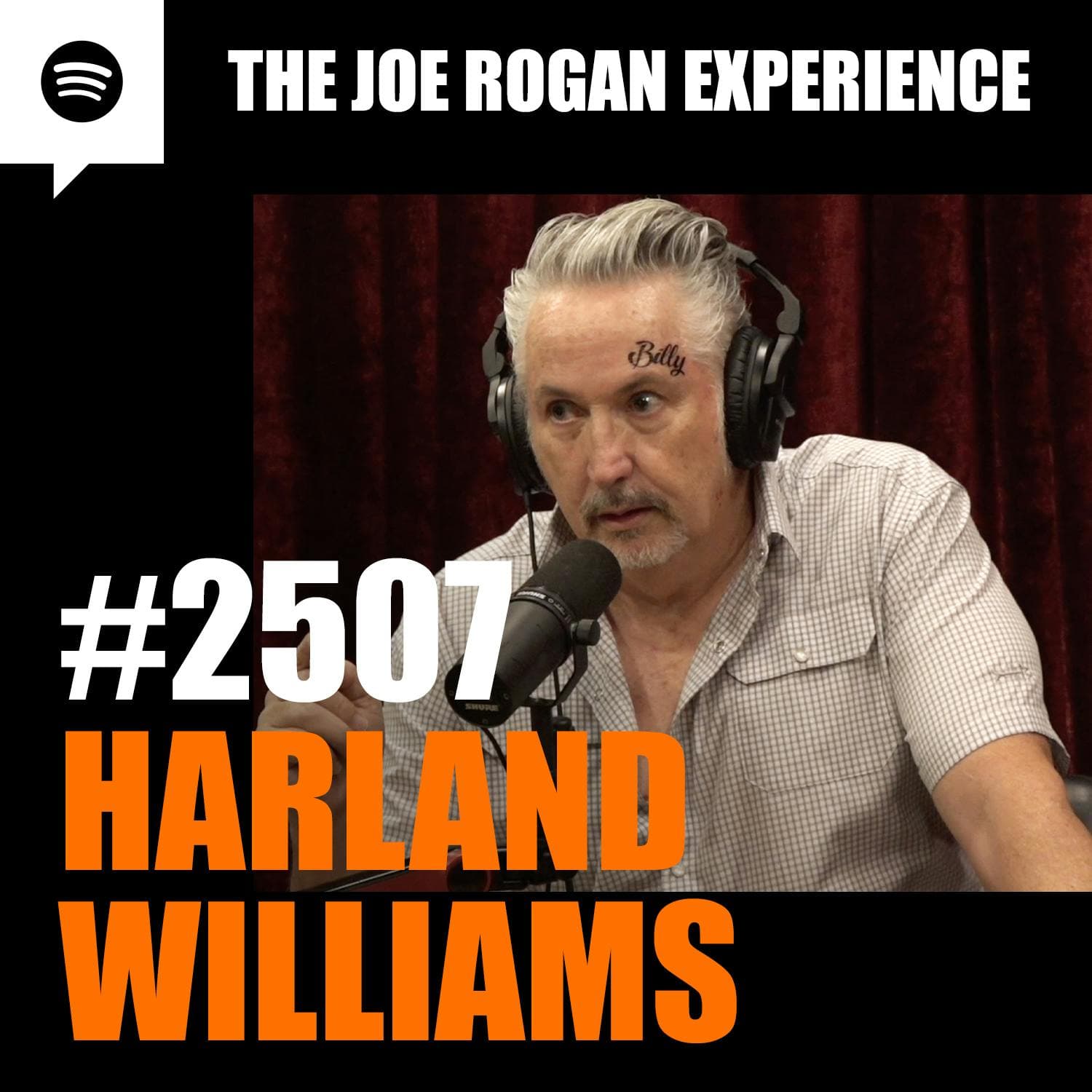 #2507 - Harland Williams artwork
