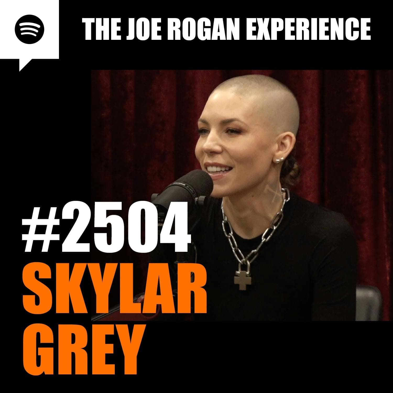 #2504 - Skylar Grey artwork