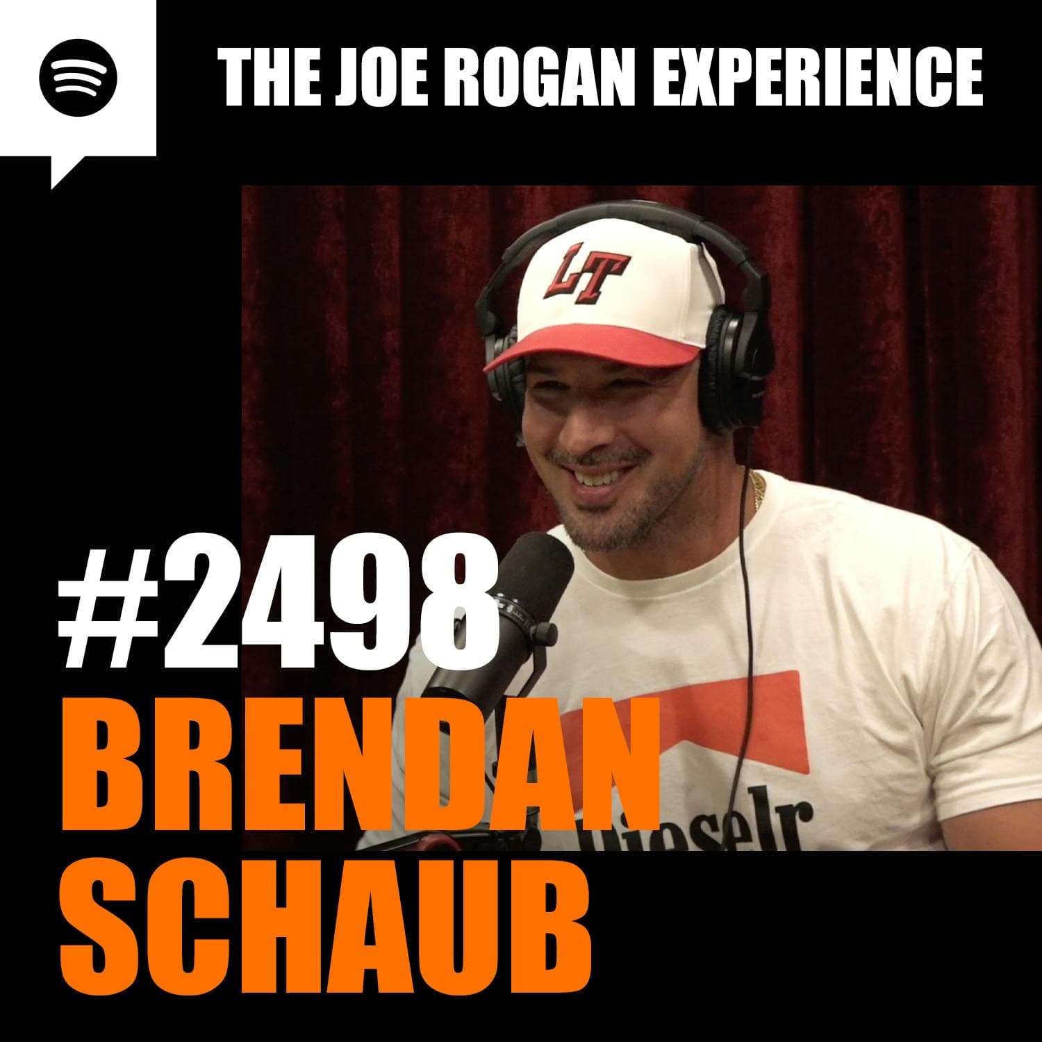 #2498 - Brendan Schaub artwork