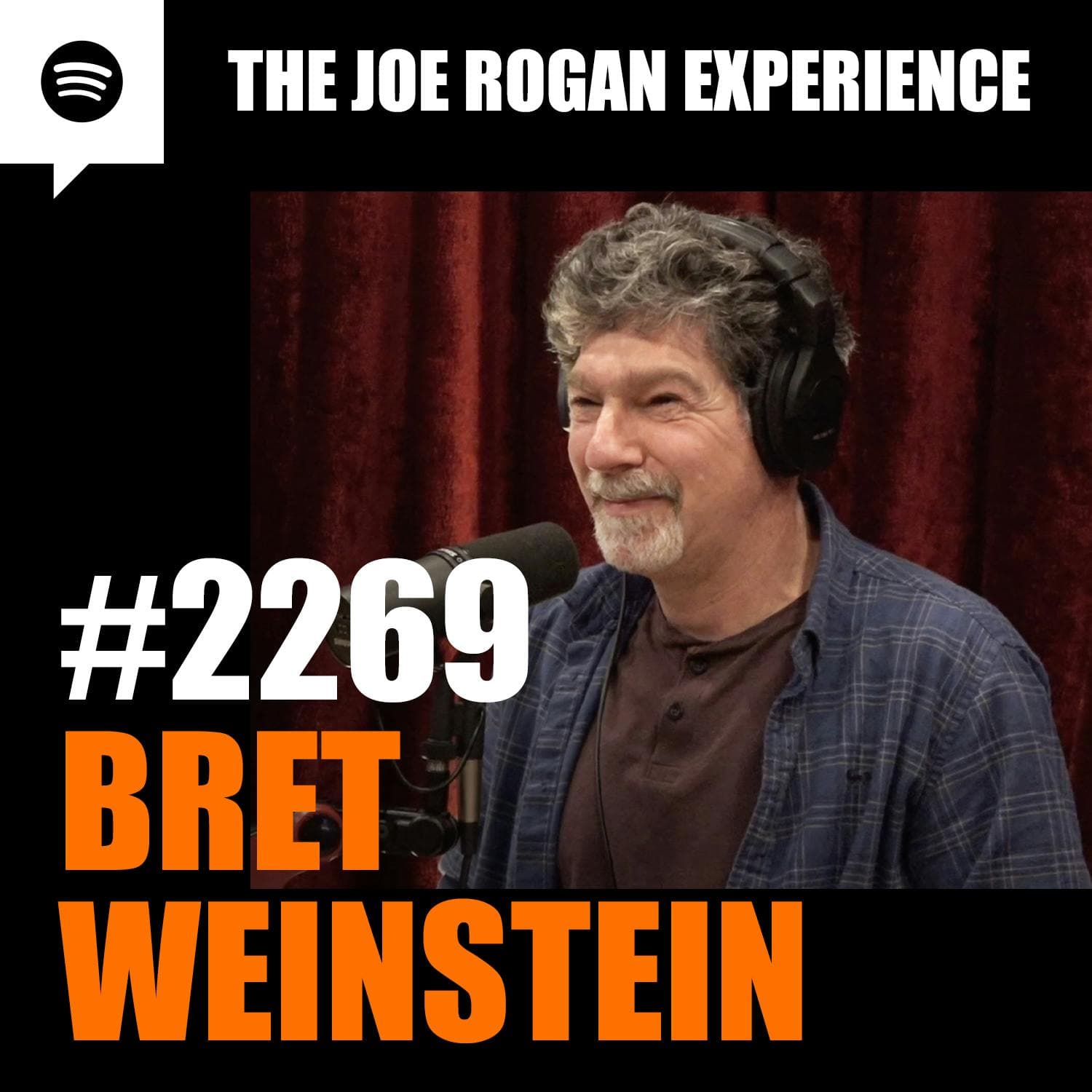 #2269 - Bret Weinstein artwork