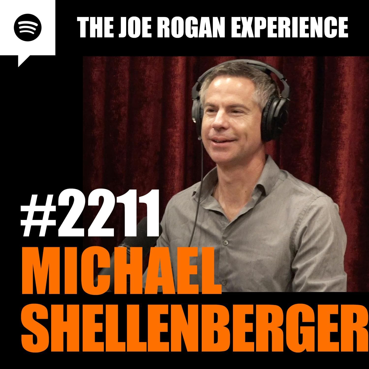 #2211 - Michael Shellenberger artwork