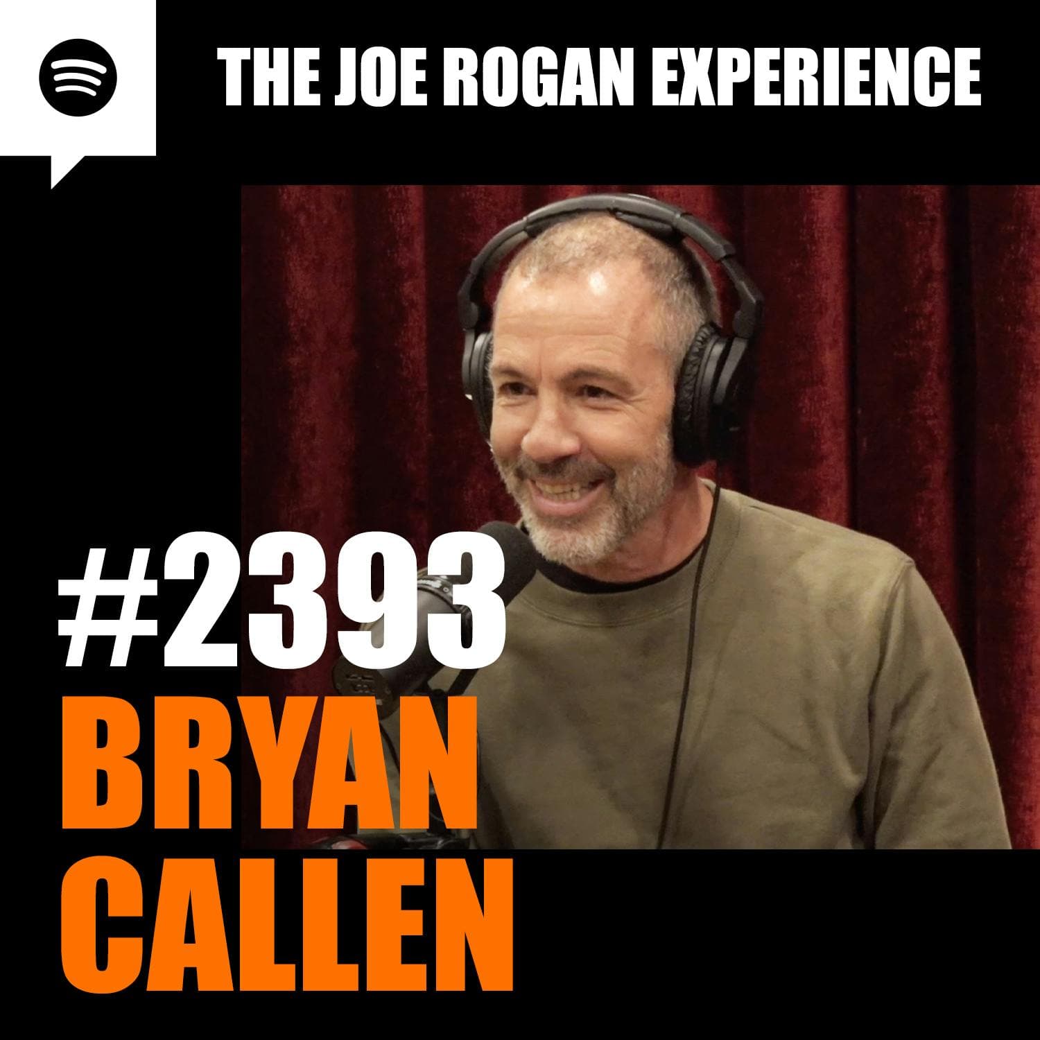 #2393 - Bryan Callen artwork