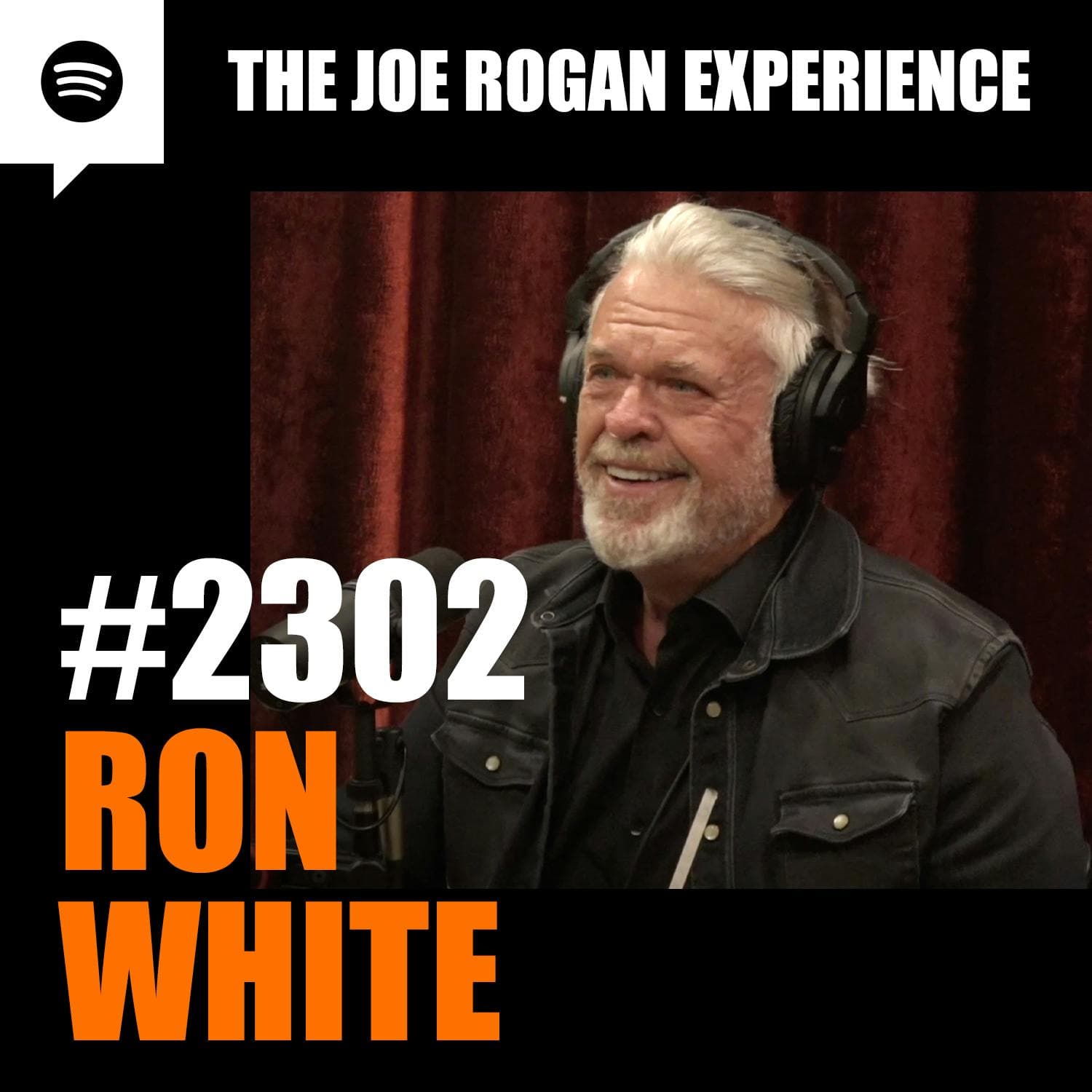 #2302 - Ron White artwork