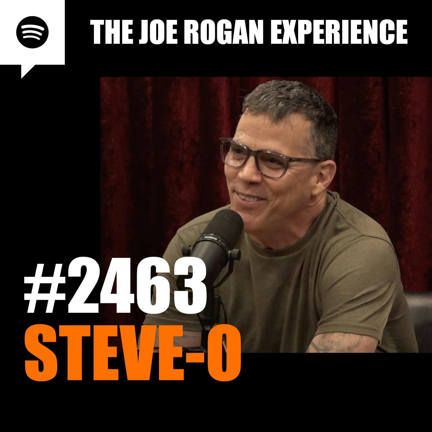 #2463 - Steve-O artwork