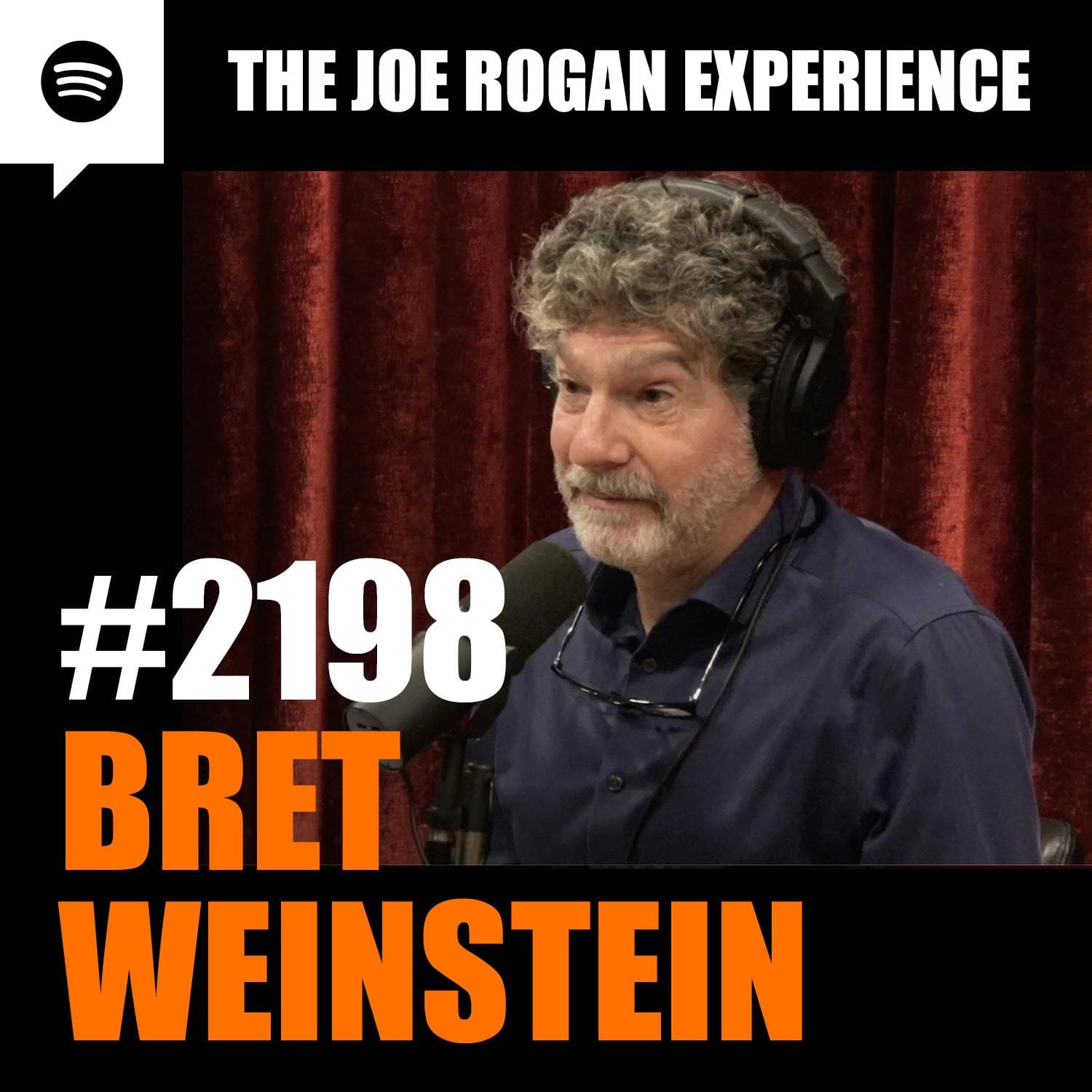 #2198 - Bret Weinstein artwork