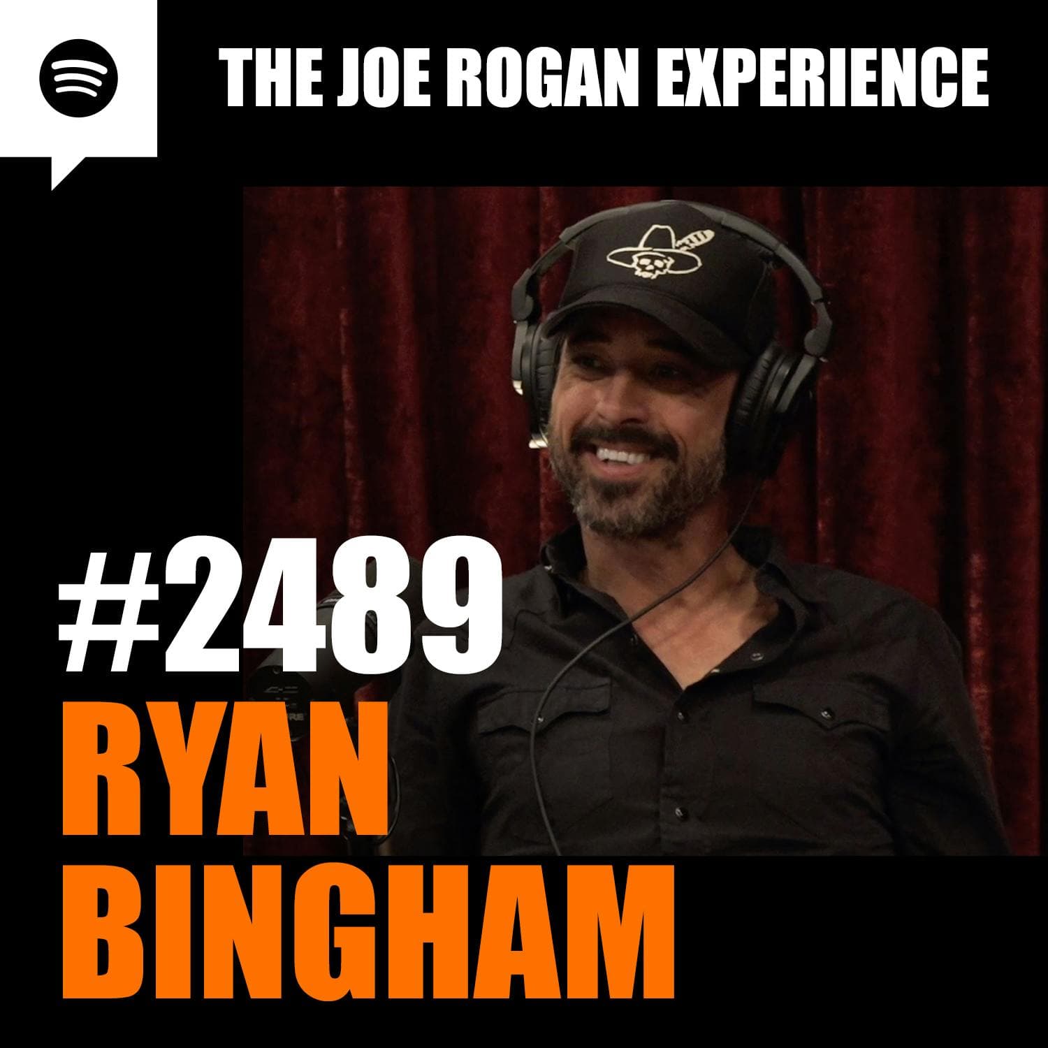 #2489 - Ryan Bingham artwork