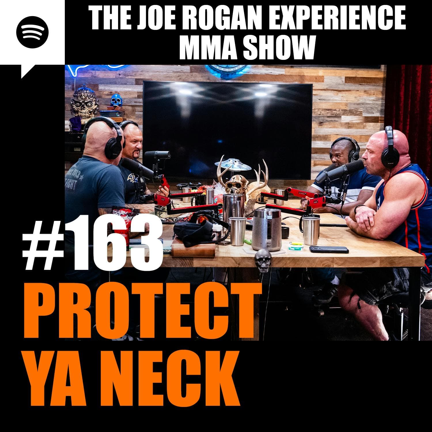 JRE MMA Show #163 - Protect Ya Neck artwork