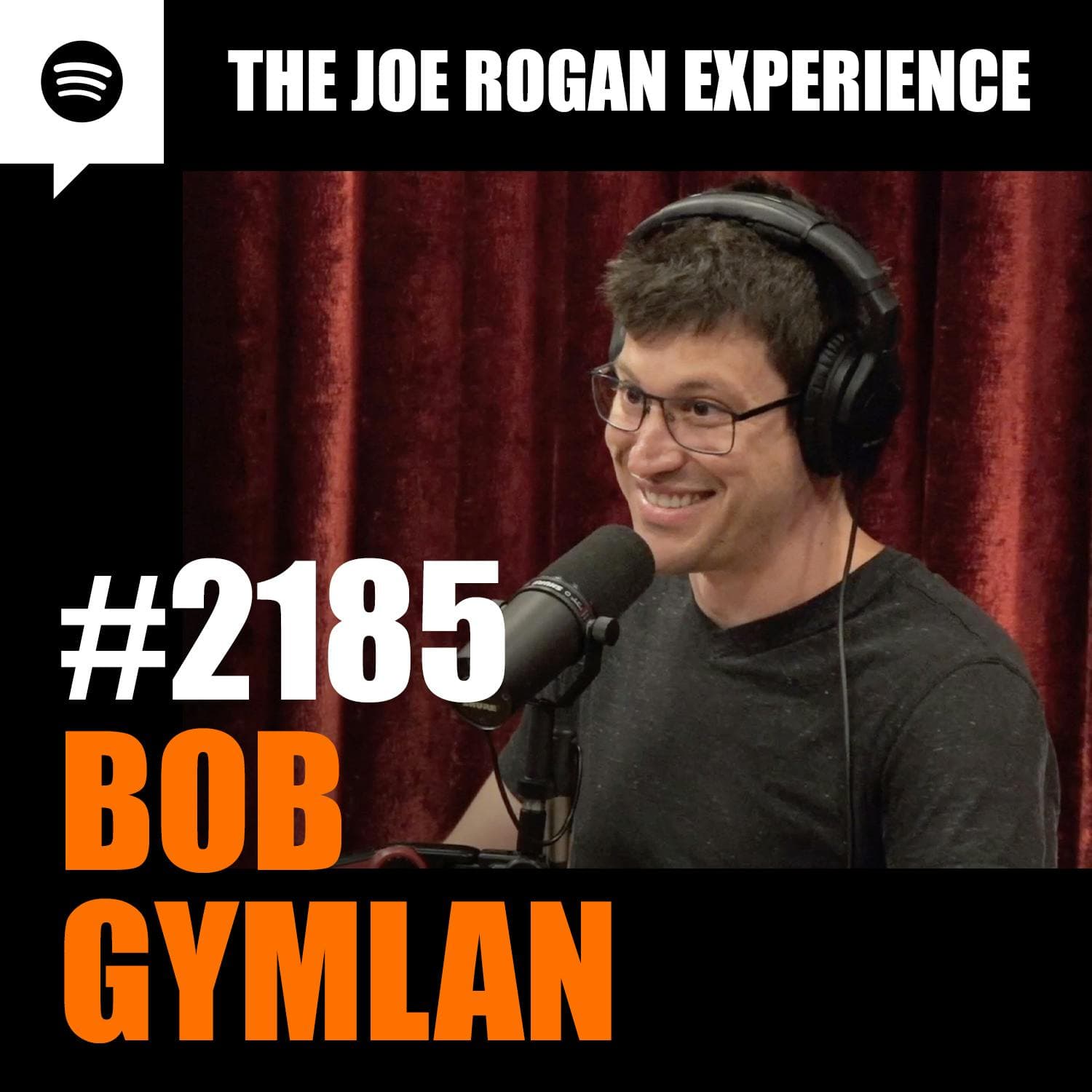 #2185 - Bob Gymlan artwork